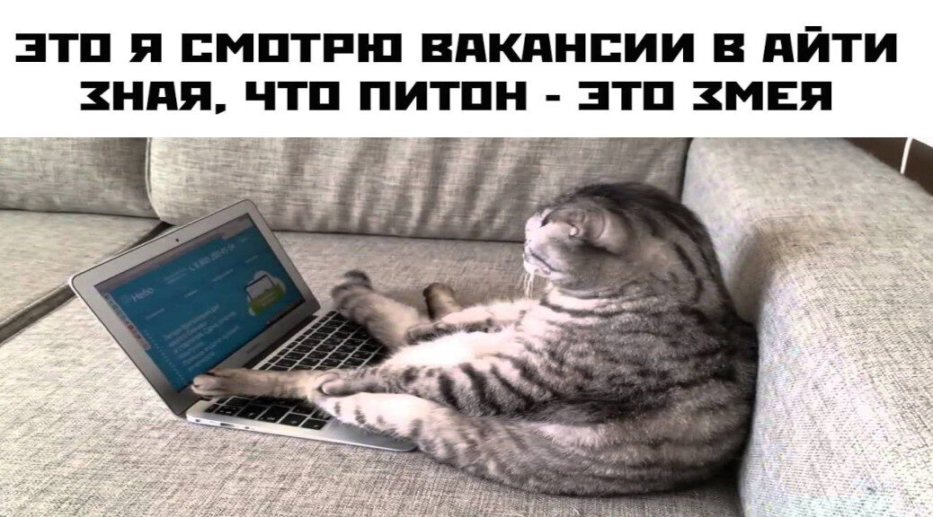 Подборка смешных АйТи баянов №4 