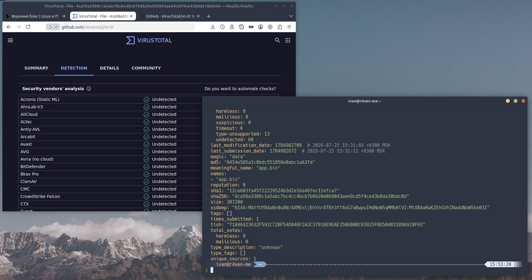 vt-cli - Checking Files with VirusTotal from the Linux Terminal